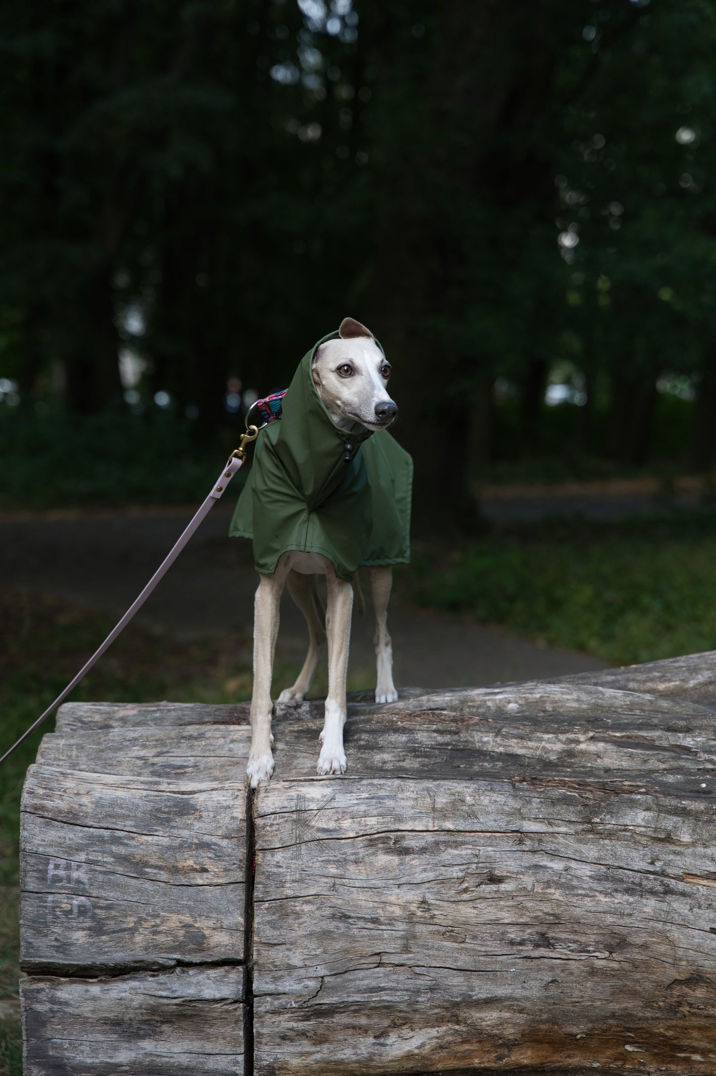 Płaszcz Przeciwdeszczowy