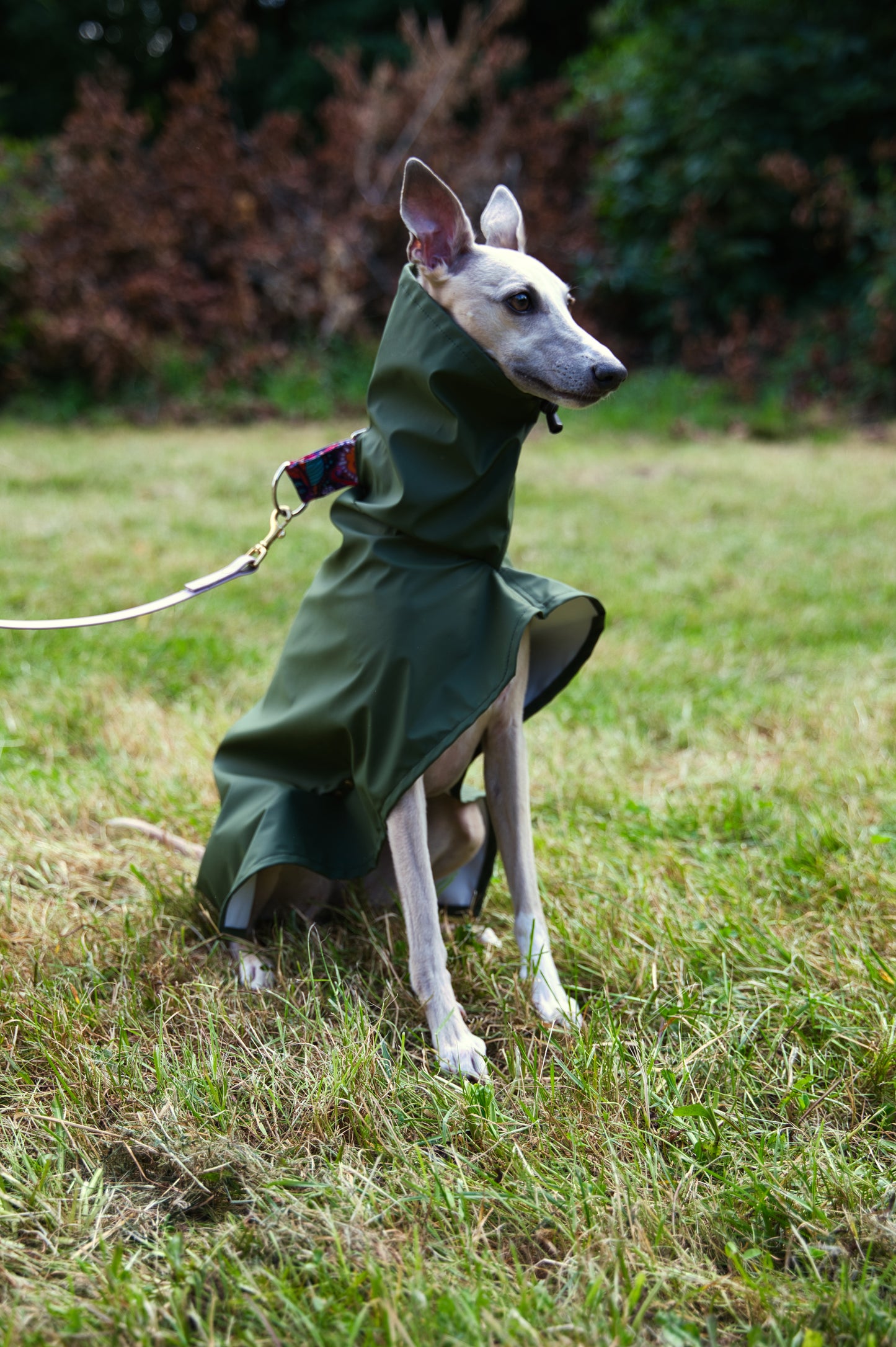 Płaszcz Przeciwdeszczowy IGGY