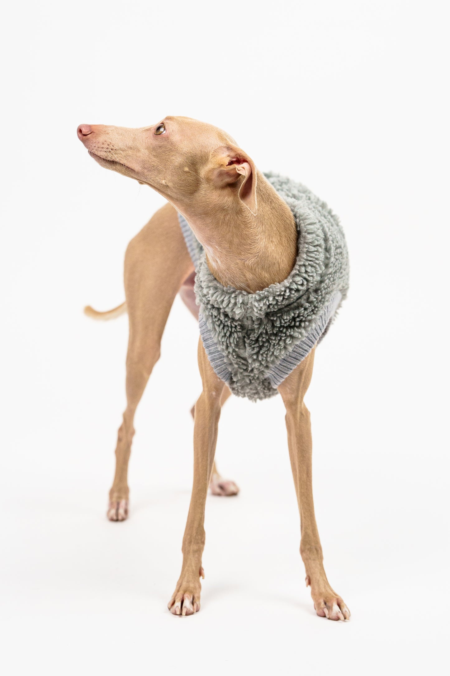 Kamizelka Baranek IGGY