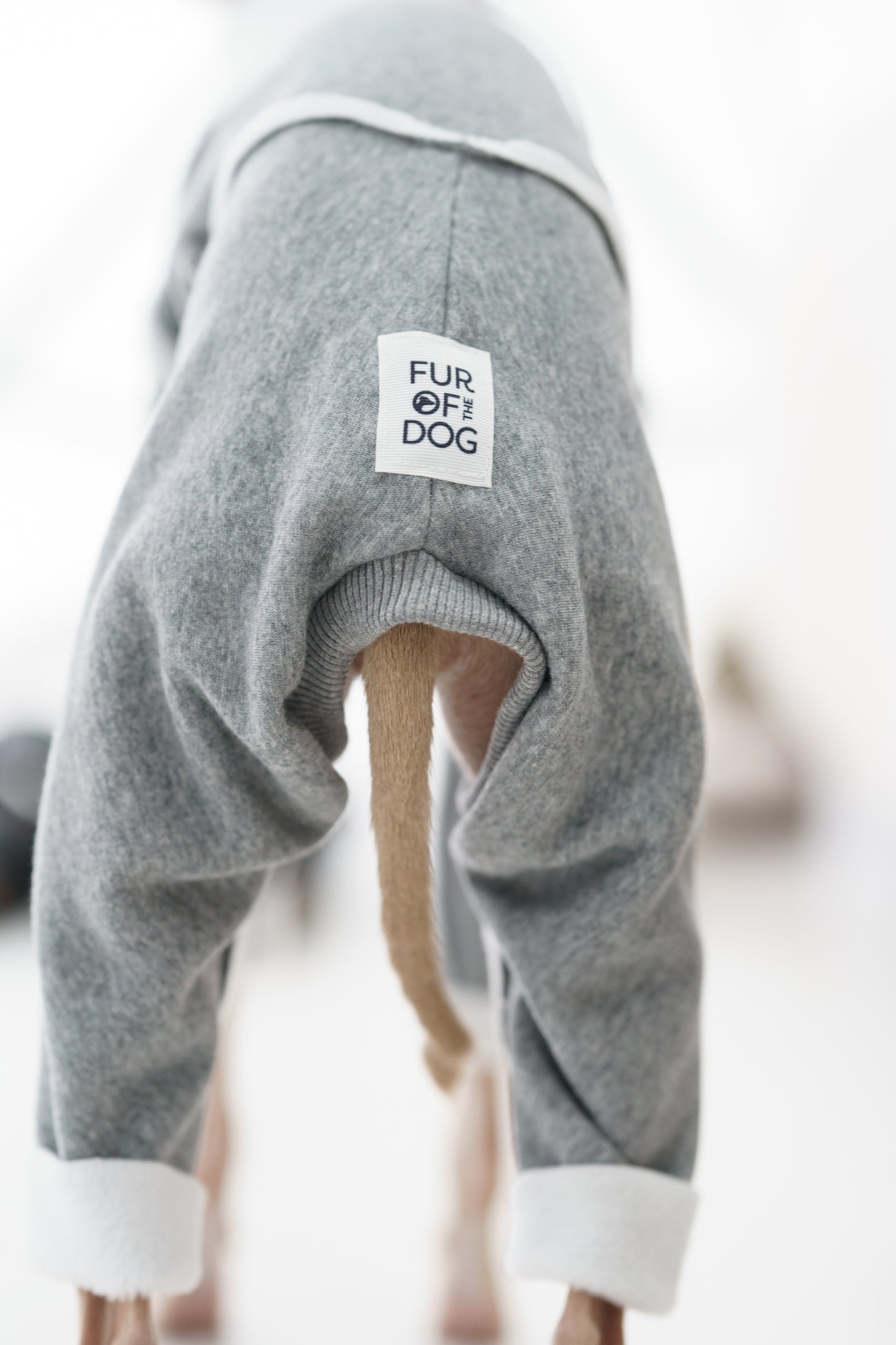 Dres Bawełniany z Futerkiem IGGY