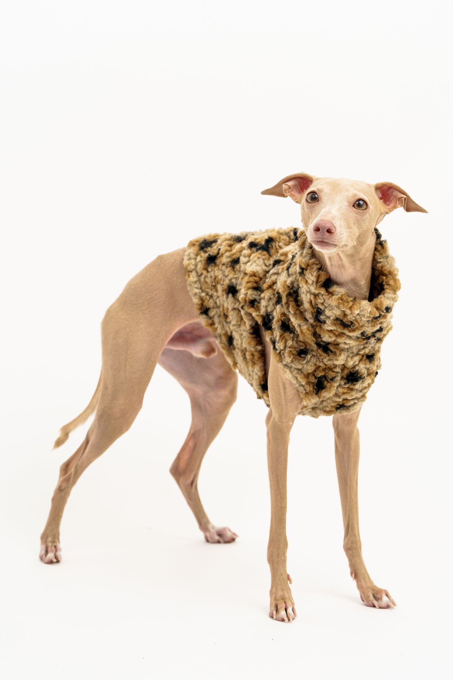 Kamizelka Baranek IGGY